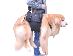 狗狗搬运抱袋，紧急背包式宠物腿部支撑与康复犬搬运背带，适用于修剪爪子、老年狗疾病、关节问题、上下楼梯（黑色，XL）